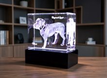 Светильник с 3D гравировкой собаки в стекле