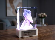 Переходящий кубок в стекле с 3D-китоглавом и подсветкой