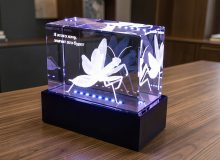 Светильник из стекла с 3D-гравировкой богомола и подсветкой — подарок любителю богомолов